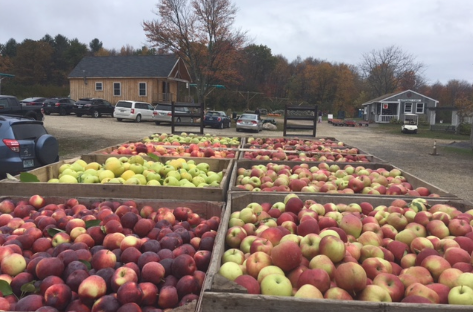 Butternut Farm Apple Picking Field Trip Fri. 9/16 at 10:30AM – https ...